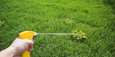 Ocat + sol + sredstvo protiv korova